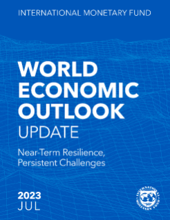 Near-Term Resilience, Persistent Challenges